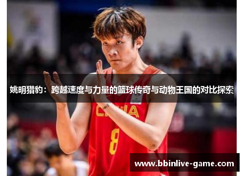姚明猎豹：跨越速度与力量的篮球传奇与动物王国的对比探索