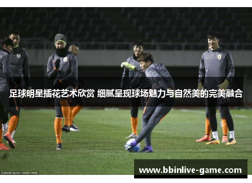 足球明星插花艺术欣赏 细腻呈现球场魅力与自然美的完美融合