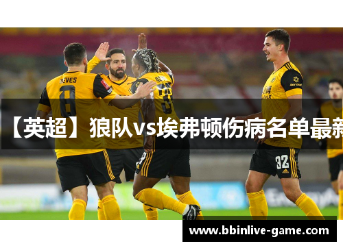 【英超】狼队vs埃弗顿伤病名单最新